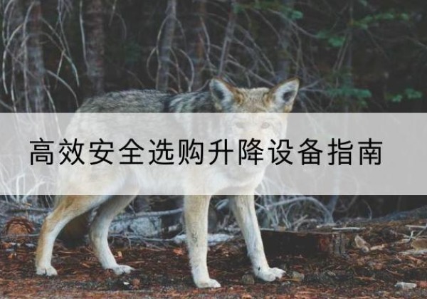 乌兰升降货梯厂家推荐-*安全选购升降设备指南