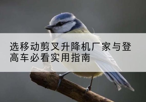 乌兰电动升降机厂家-选移动剪叉升降机厂家与登高车必看实用指南