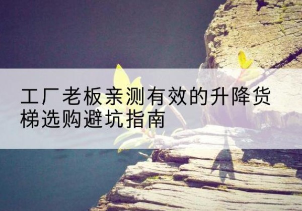 乌兰升降货梯怎么选-工厂老板亲测有效的升降货梯选购避坑指南
